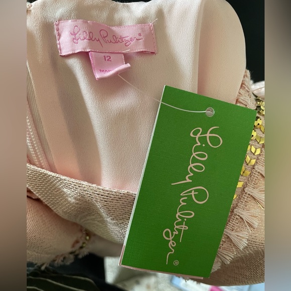 NWT Lilly Pulitzer Karter Shift Dress Size 12 - Picture 4 of 5